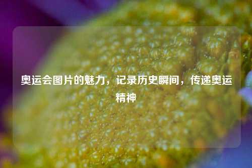 奥运会图片的魅力，记录历史瞬间，传递奥运精神