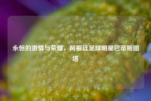 永恒的激情与荣耀，阿根廷足球明星巴蒂斯图塔