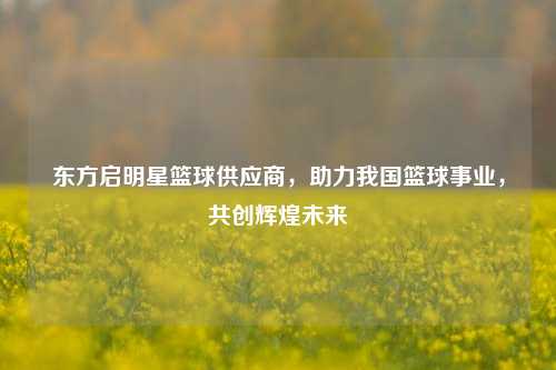 东方启明星篮球供应商，助力我国篮球事业，共创辉煌未来