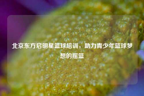 北京东方启明星篮球培训，助力青少年篮球梦想的摇篮